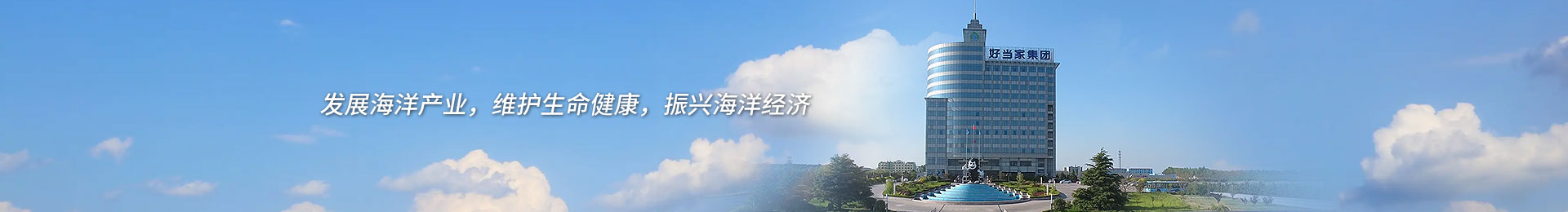 好當(dāng)家集團—世界好品牌 中國好當(dāng)家